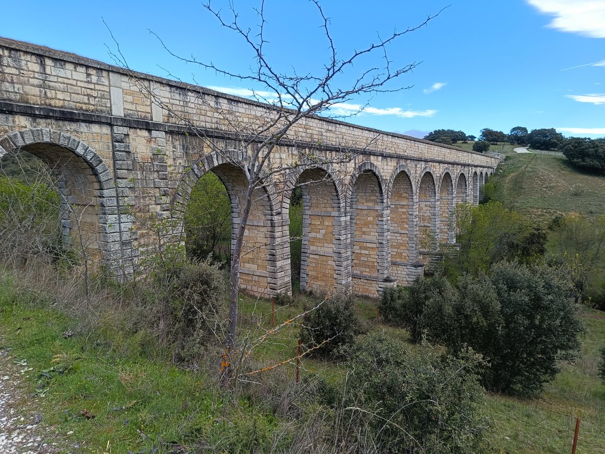 ... Manu ... 守破離 ... tweet media