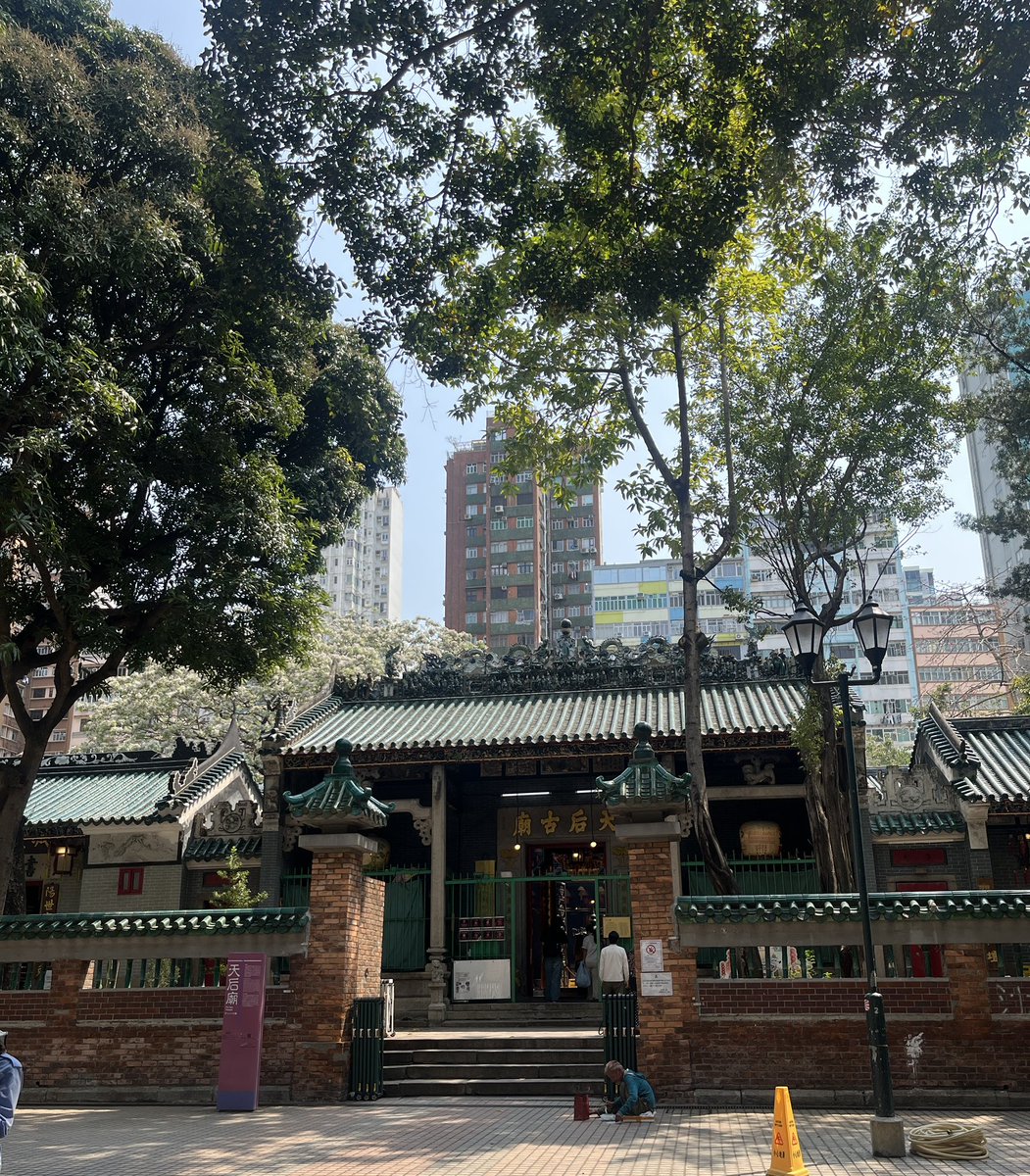 野村麻里 tweet media