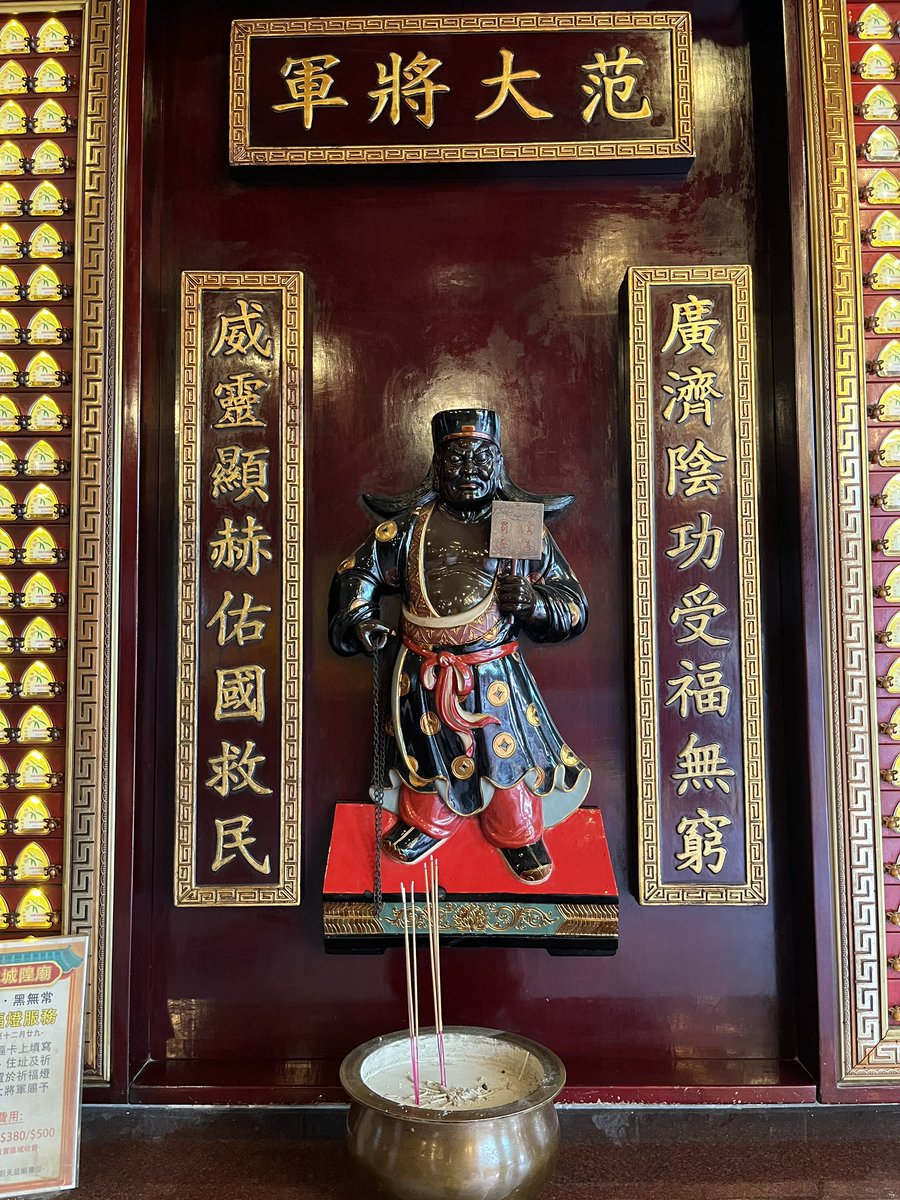 野村麻里 tweet media