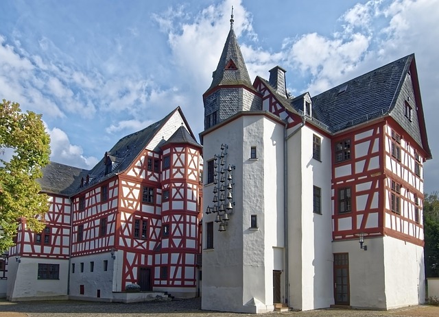 David Hoffstatter tweet media