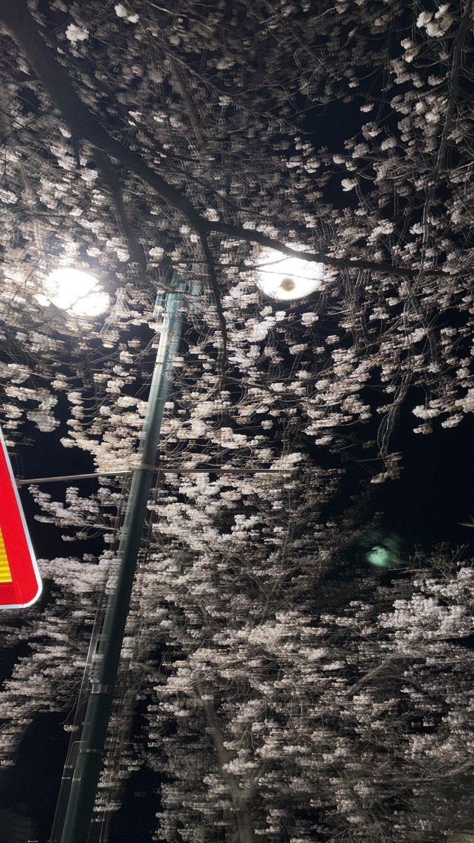 なちゅ tweet media