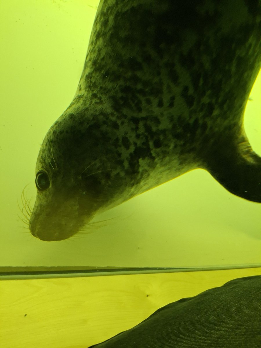 Alannah🦝 tweet media