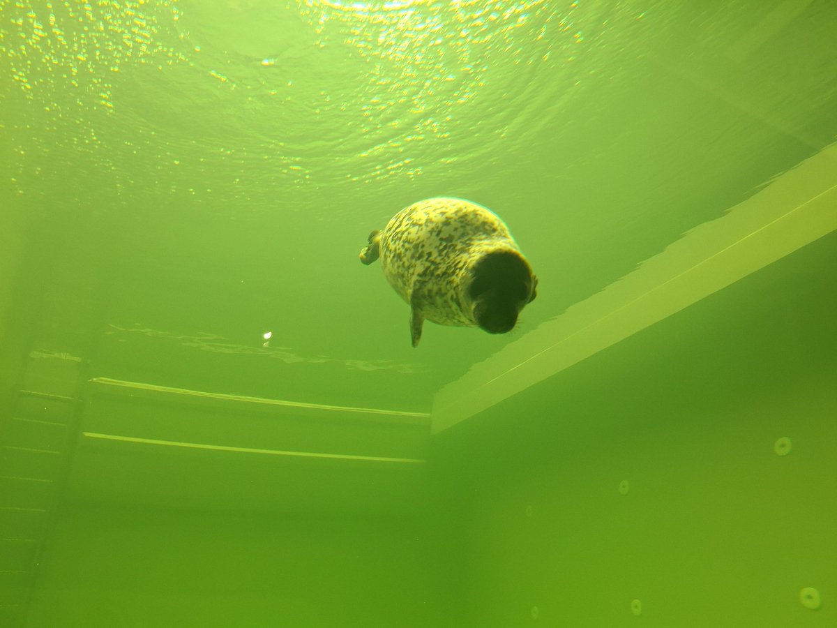 Alannah🦝 tweet media