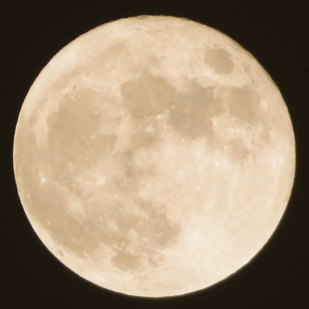 きあい📷͛🌷🌻 tweet media