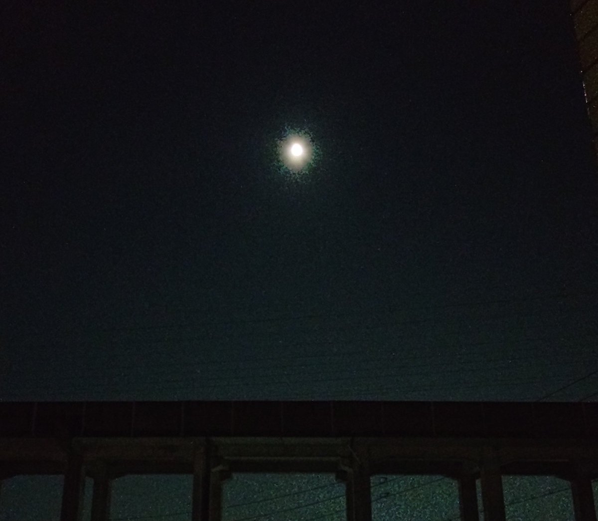 新良芳(あらよし)🍵🍶@topia #ミネラルマルシェ公認V 💎活動中 tweet media