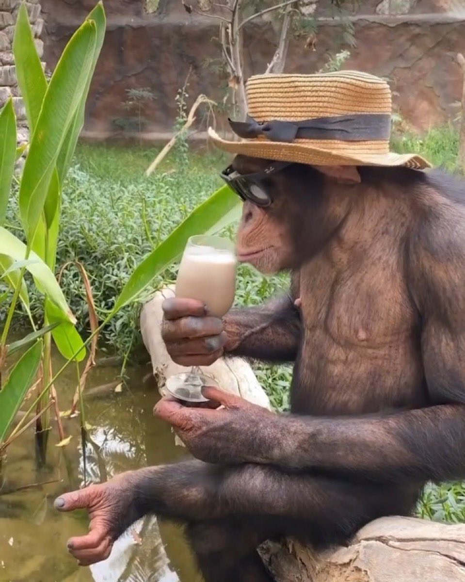 GN23🇵🇸 tweet media