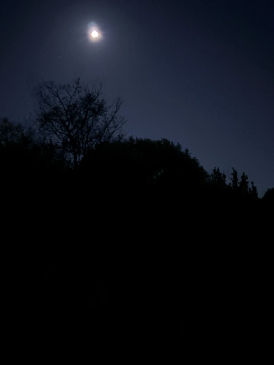 のだおぶなが tweet media