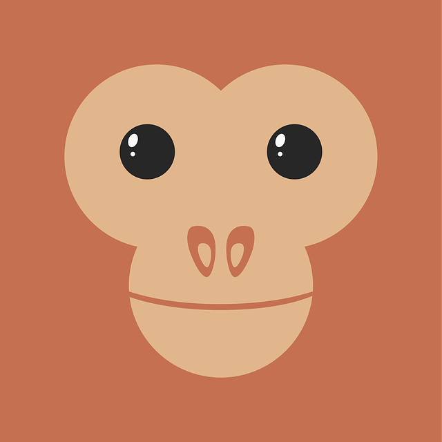 John Kovak tweet media