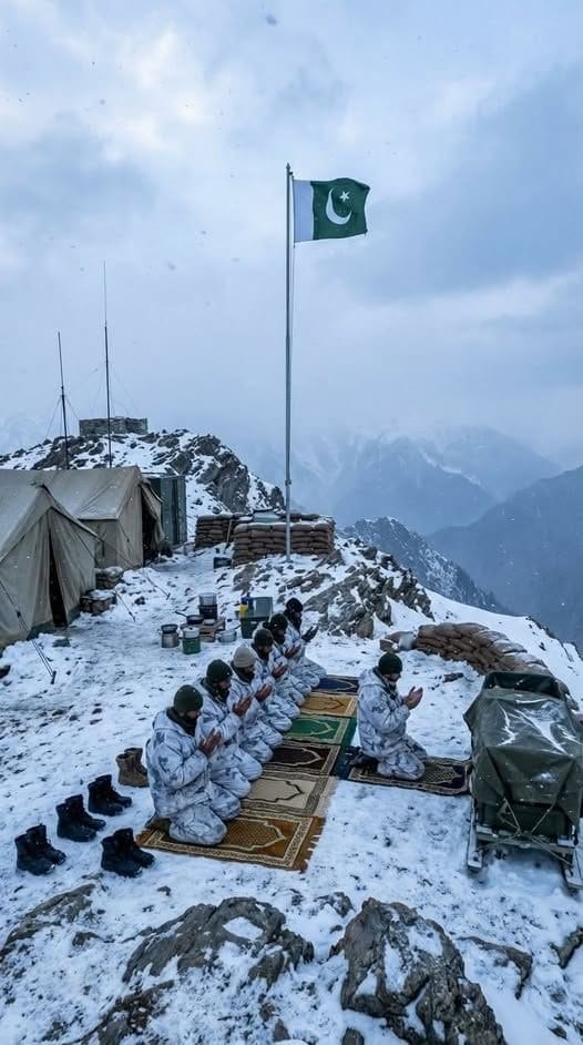 TARIQ MASOOD BUTT🇵🇰 tweet media