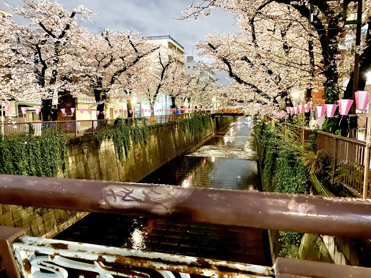 だーいけさん tweet media