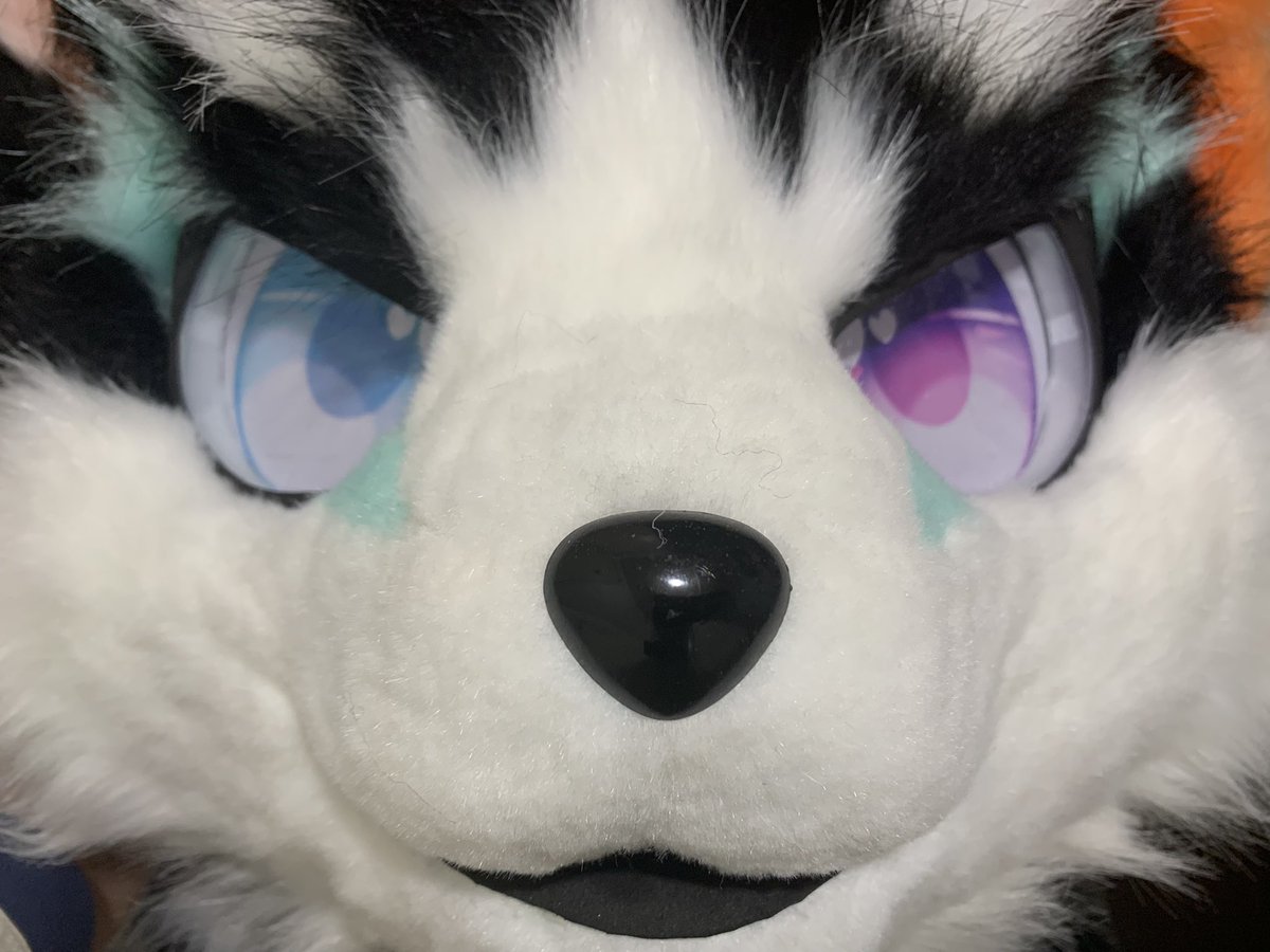 兎蛙梟（とみださら）/ラトの主 tweet media