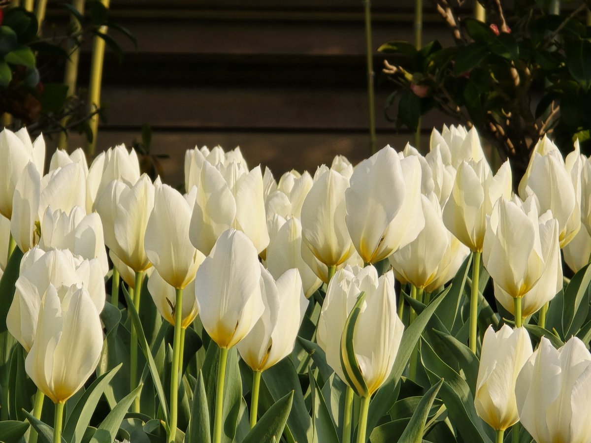 エメロン🐢🐈‍⬛ ͗🐌🦭(⚯̫ ﾐэ)Э🚪🌙🔎💐 tweet media