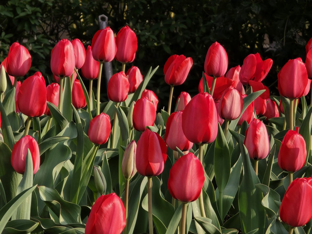 エメロン🐢🐈‍⬛ ͗🐌🦭(⚯̫ ﾐэ)Э🚪🌙🔎💐 tweet media