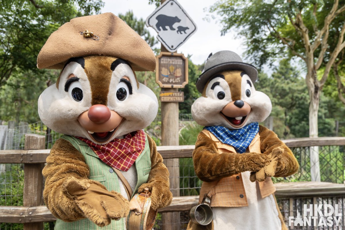 HKDL Fantasy tweet media