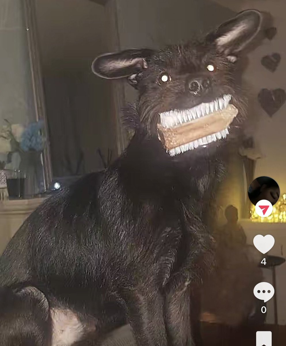 Just Nan 🖤💛 tweet media