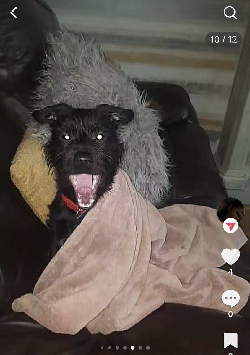 Just Nan 🖤💛 tweet media