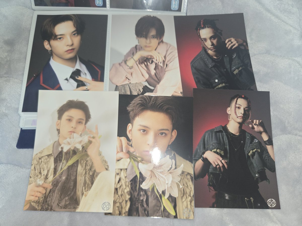 🐉星🫧 tweet media