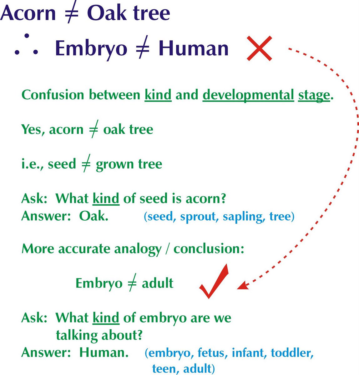 Laura W. tweet media