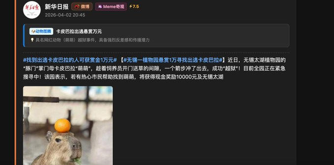 小财神🔶BNB(心流版) tweet media