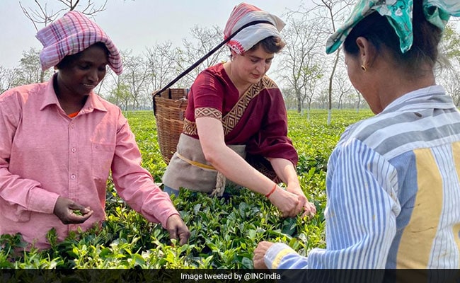 Savanmjain tweet media