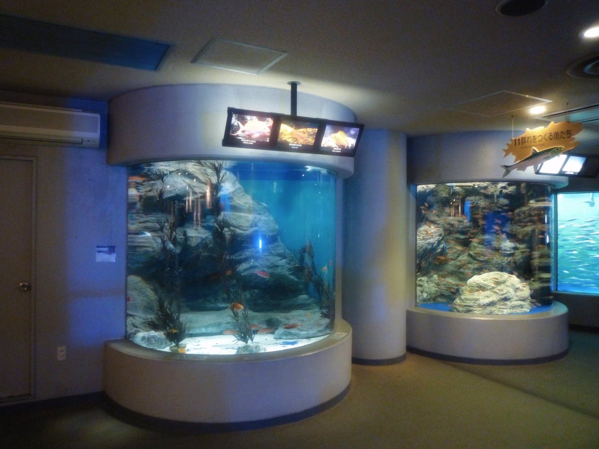 nagi𓅫⸒⸒ tweet media