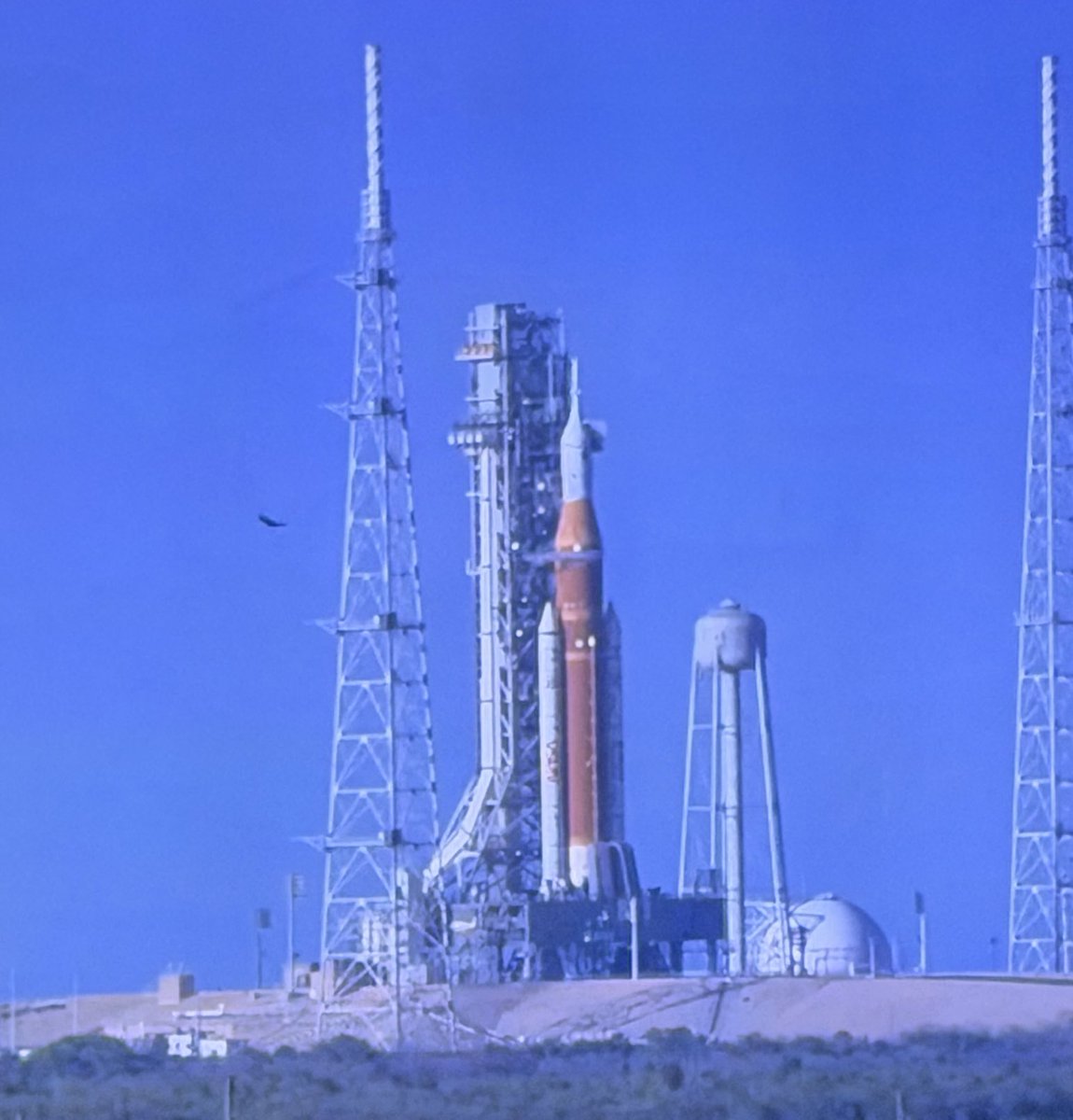  Breaking Paw 🔞🐾🇩🇪 tweet media