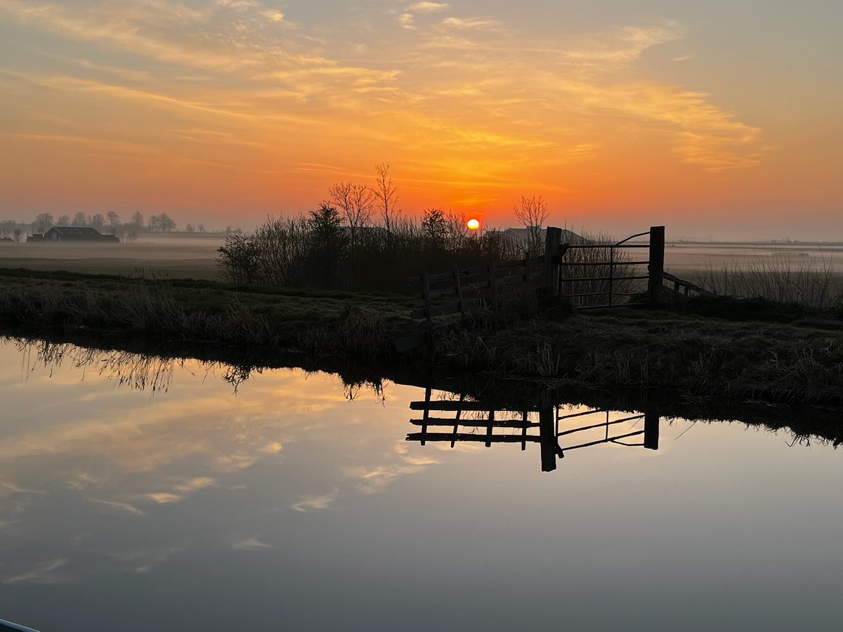 indian_pitta's tweet image. Share your photographs with Sun 🌞 in it