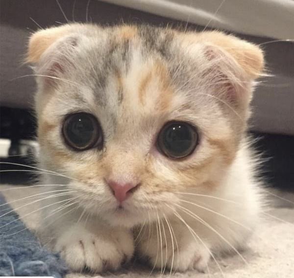 𝗃𝗂𝗁𝗎 tweet media