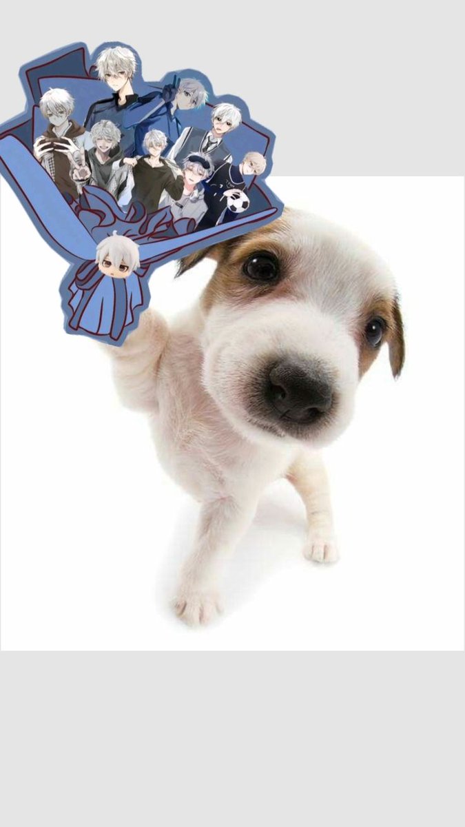 hmmmmmmmmmmm tweet media