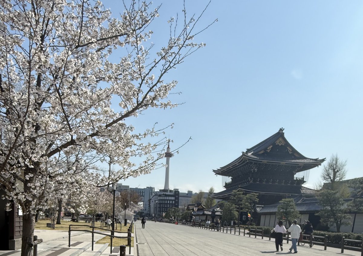 あやな。 tweet media