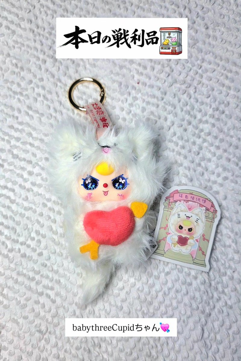 りんごちゃん様　まとめ買い依頼分 Amazon.co.jp: 青森県産 王林 糖度13度保証のりんごちゃん Lサイズ6個