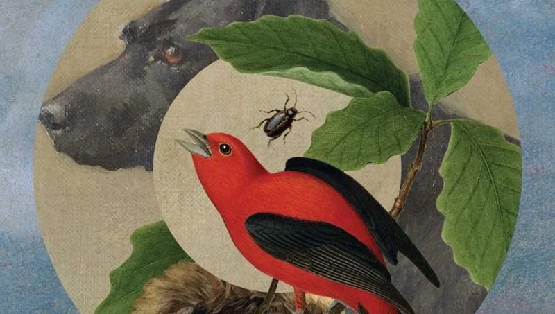 Smart_Translate's tweet image. A resonant silence: Heather Cleary on #translating María Ospina’s "Only a Little While Here"
lithub.com/a-resonant-sil…
via @lithub