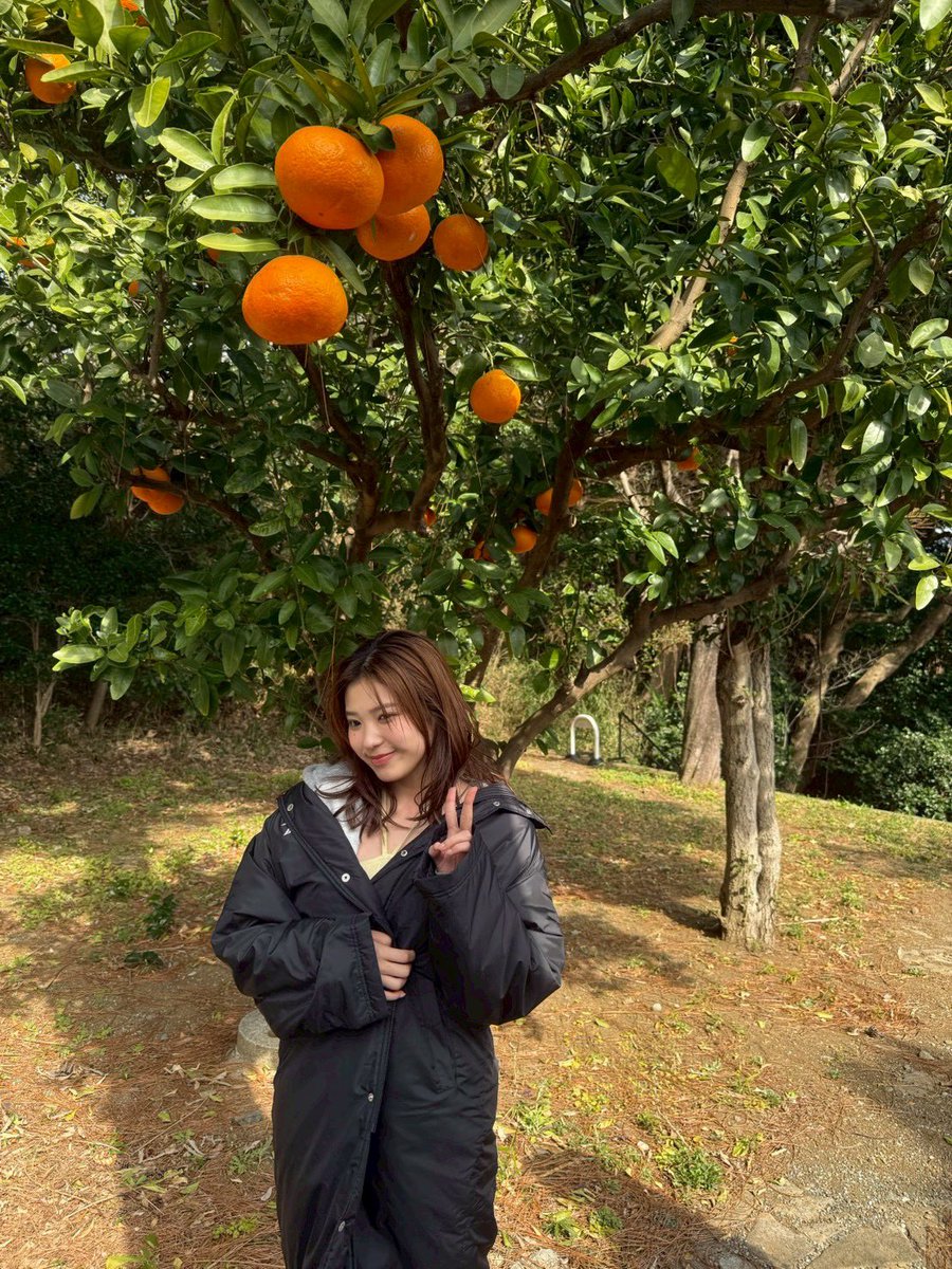 矢野 ななか tweet media