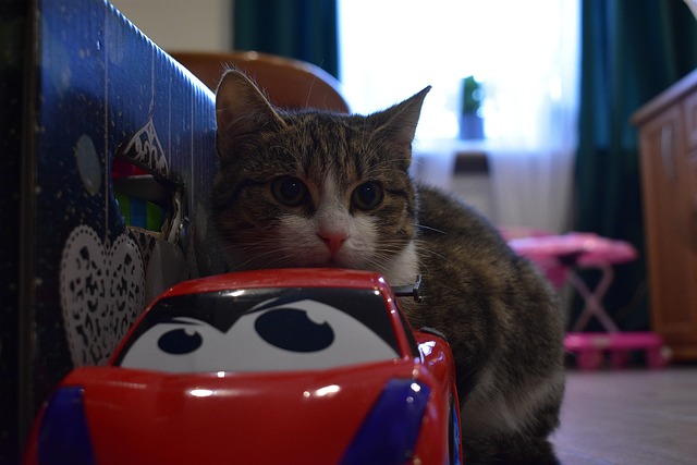 Maged Underwood tweet media