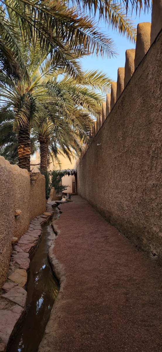 كبُود الزَّمِل tweet media