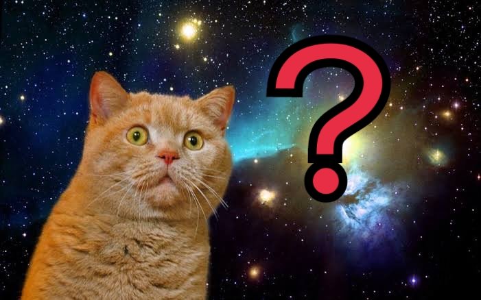 ぼこ@RESTART tweet media