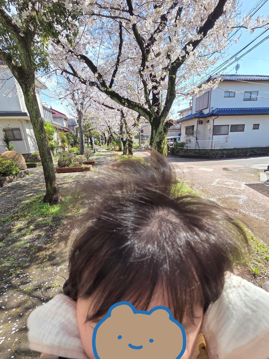 ぐるる☺︎🎀6m tweet media