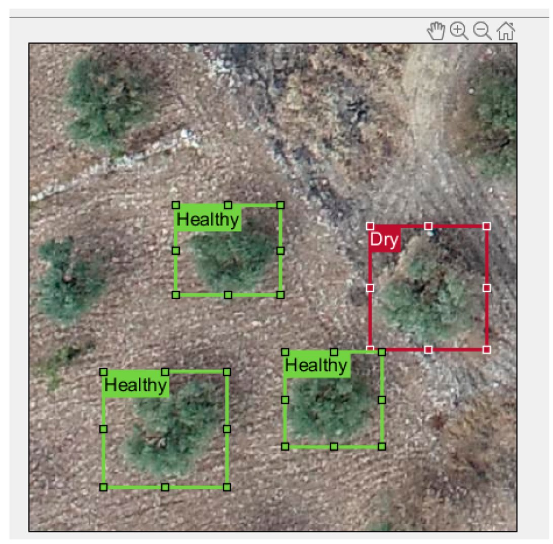 RemoteSens_MDPI's tweet image. 🫒🫒 Burned #Olive #Trees Identification with a #DeepLearning Approach in Unmanned Aerial Vehicle Images

✍️ Christos Vasilakos and Vassilios S. Verykios
🔗 brnw.ch/21x1gKs