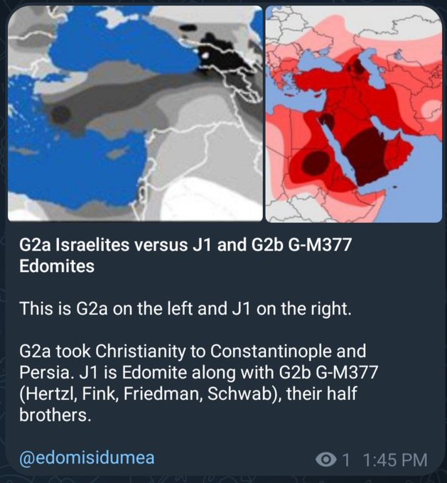 Just a dude tweet media