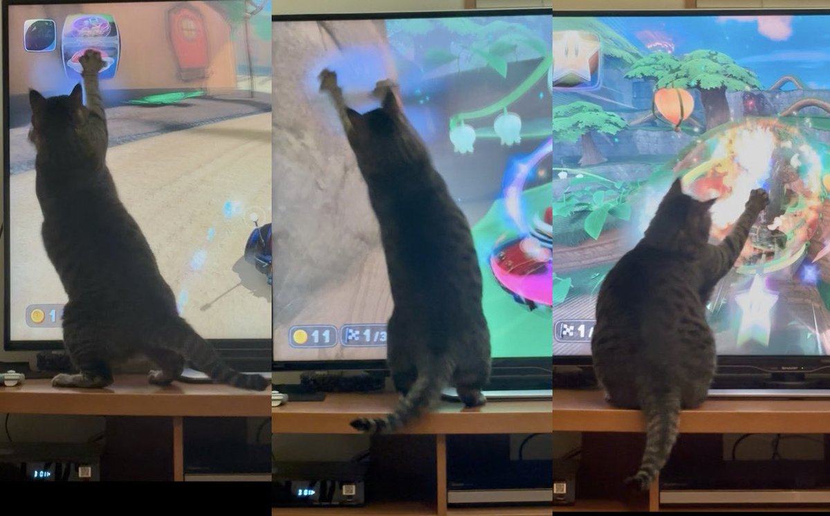 宗方脩 tweet media