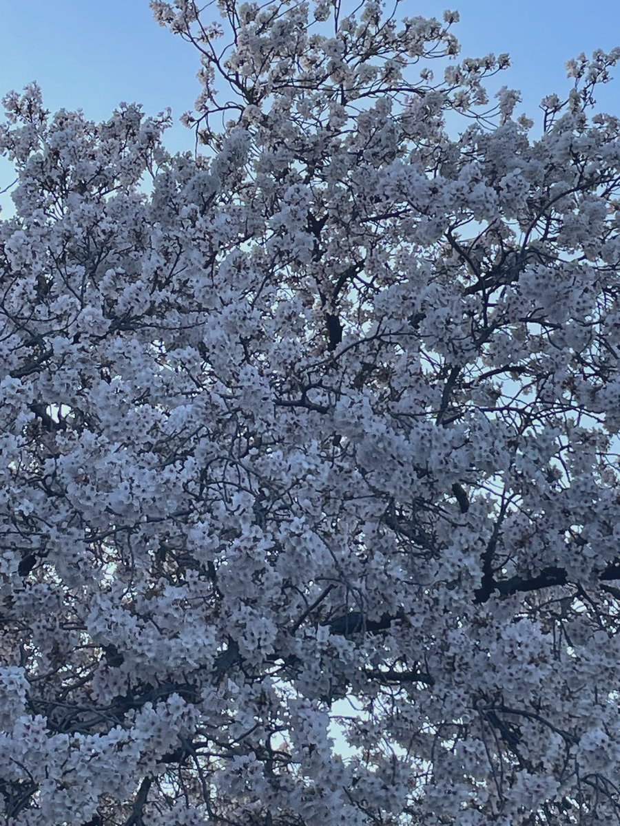 Shared Brewery tweet media