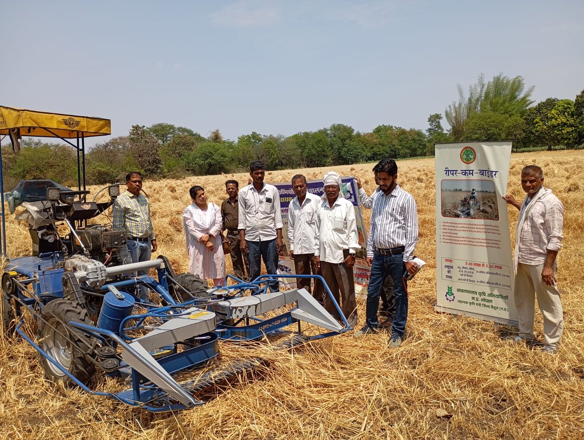 Collector Betul tweet media