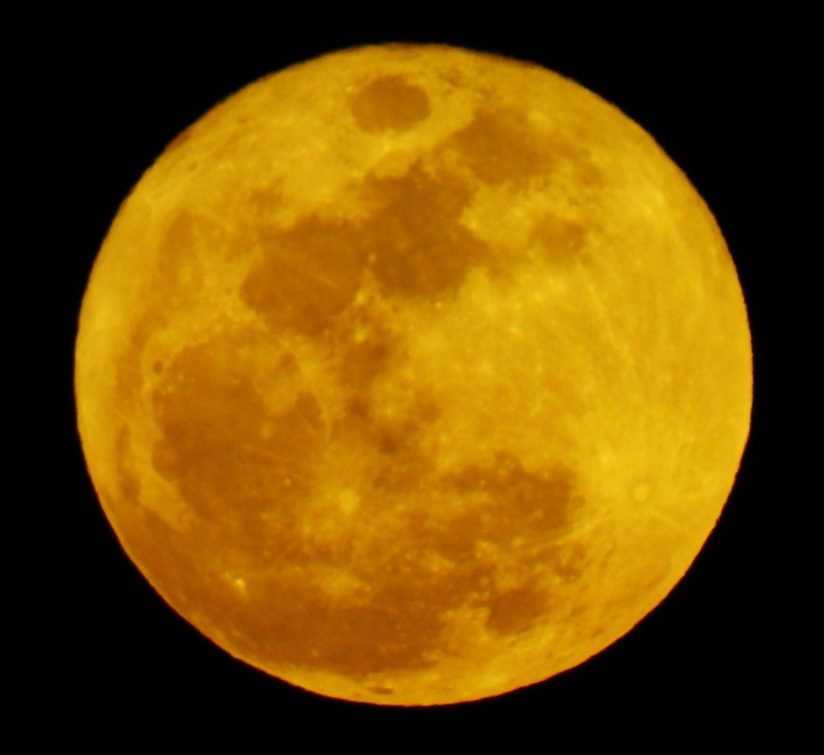 潤一朗🐾猫にシュシュ❁ tweet media