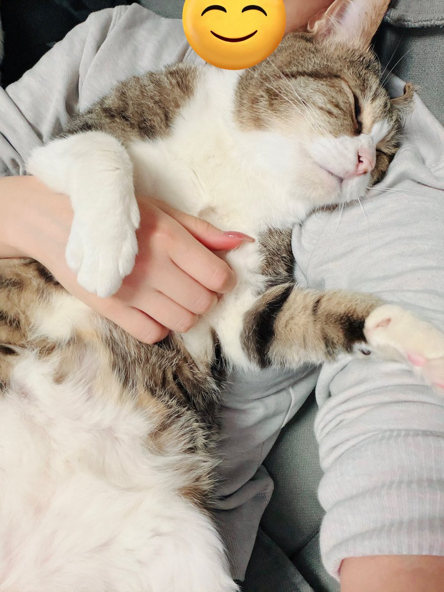 ヒカベベ@3/28.29AJ、4/12オフ会、24コンカフェ、25.26ニコ超、29パルフェット tweet media