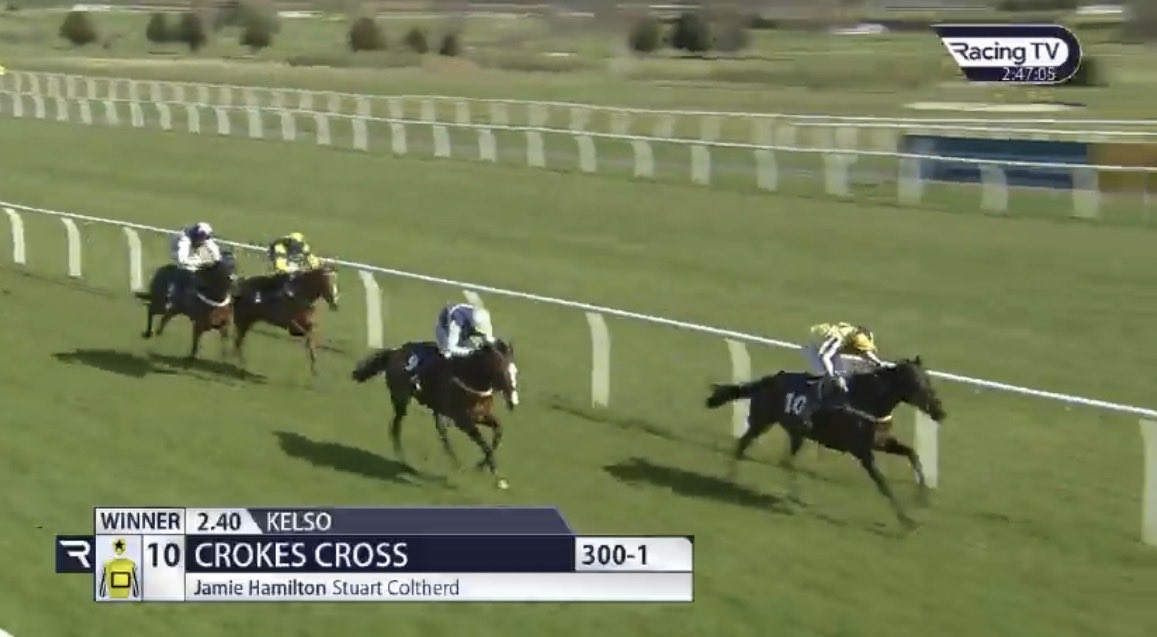 the racing newsletter tweet media