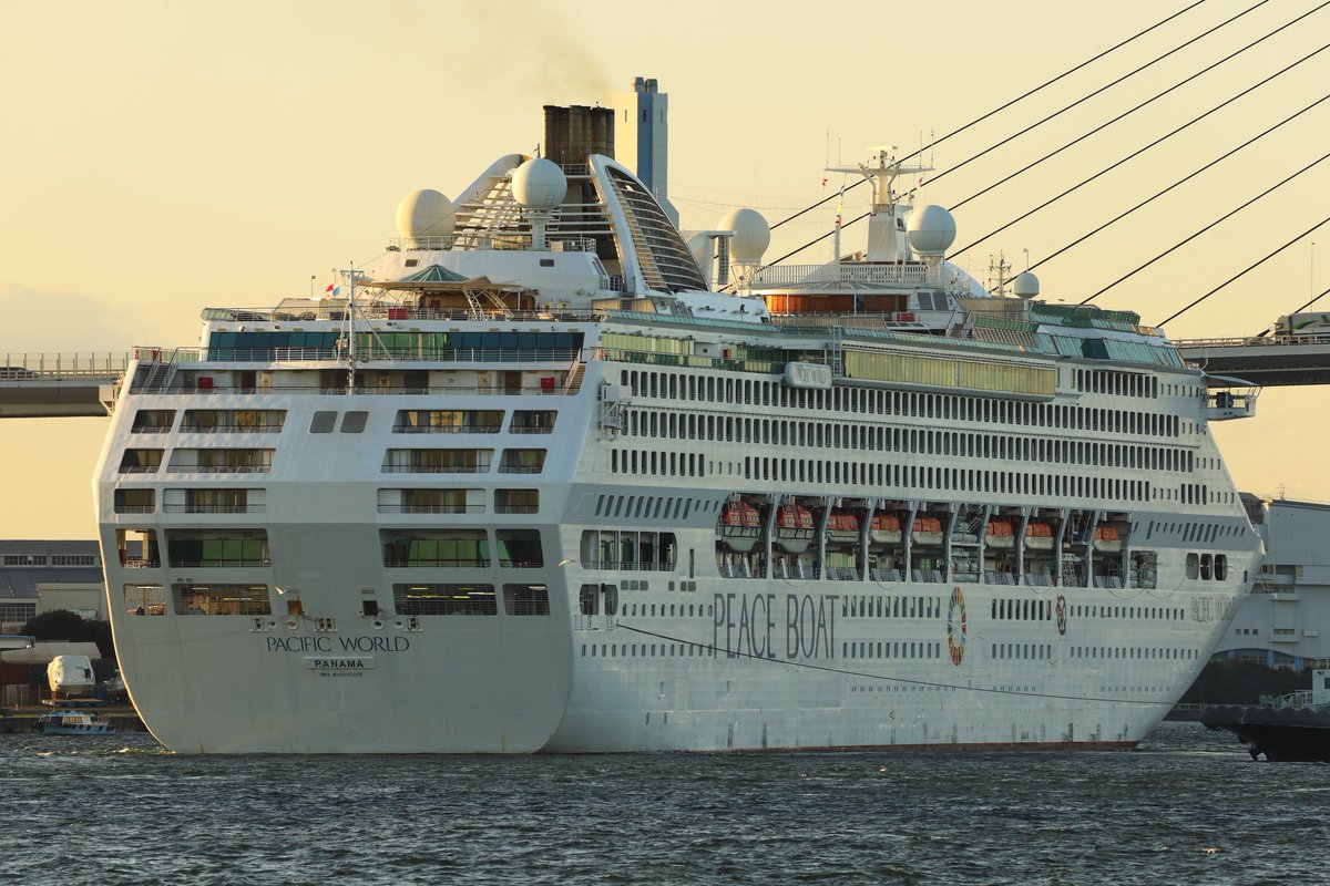 panamaru2 tweet media