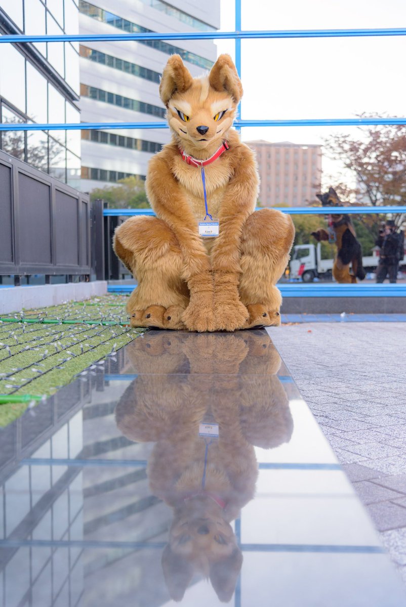 天@コーラ tweet media