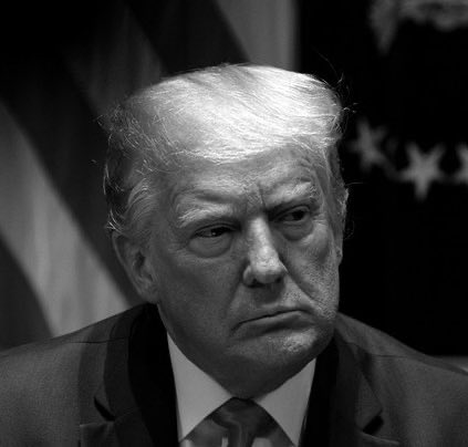 Not Your Average Liberal tweet media