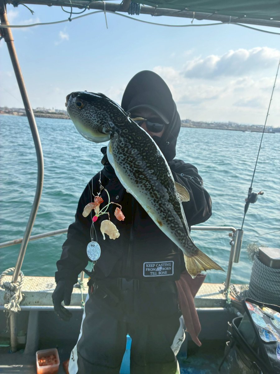 船釣りは海蓮丸 tweet media