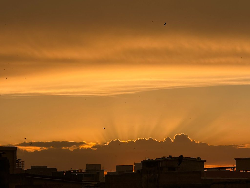 Anas Tipu tweet media